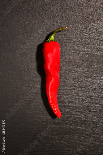 Red chili pepper on dark background