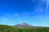 Mt.Fuji and summer clouds