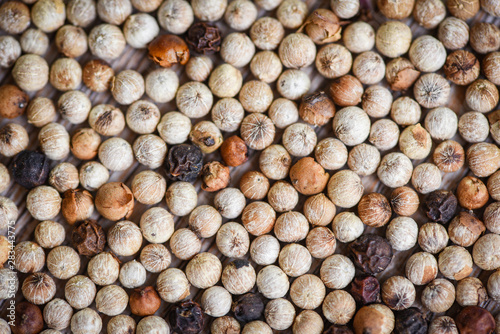 spices background - close up of herbs and spices Pepper mix black red and white peppercorns or pepper seed top view
