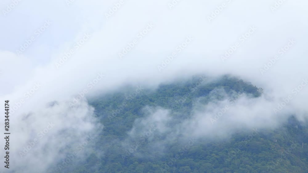 4k misty morning in the deep forest mountain which fog flowing through the woodland hill timelapse 4k misty morning in the deep forest mountain which fog flowing through the woodland hill timelapse