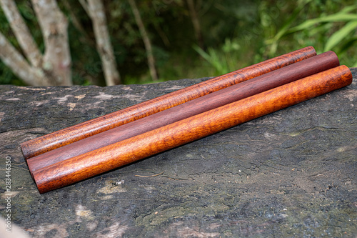 Wood logs round lath of Burma padauk photo