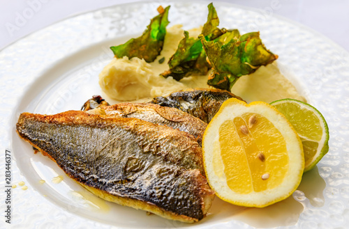 Obraz na płótnie Pan seared branzino or sea bass with mashed potatoes and deep fried kale chips a