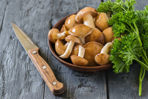 A knife with a wooden handle next to a bowl of wild mushrooms on a wooden table.