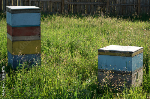 Beehive stands on a field. Strong and weak bee colonies.