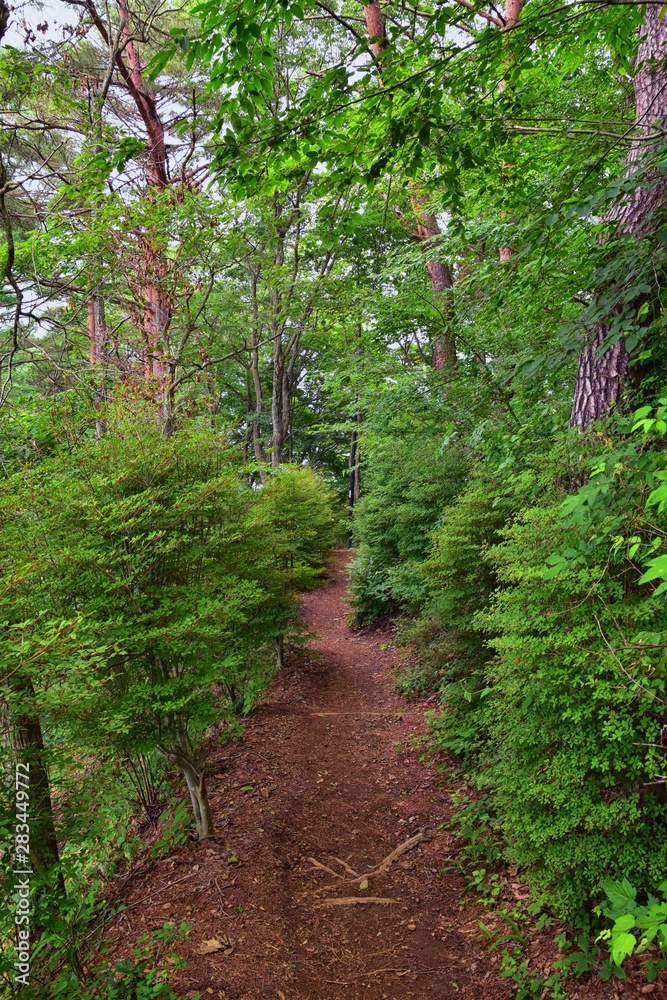 Views around Mount Fuji Japan, including Kawaguchiko Tenjozan Park hiking trail from the gondola observation down to the lake side. Asia.