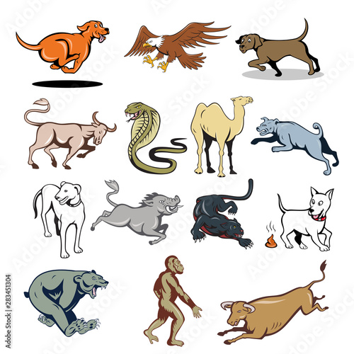 Set or collection of cartoon character mascot style illustration of farm animal and wildlife like dog, cow, bear, ape, eagle, camel, snake, wild boar and panther on isolated white background.