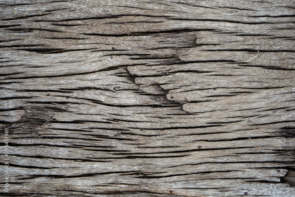 Old wood background texture. Old wood background texture.