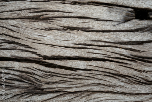 Old wood background texture.