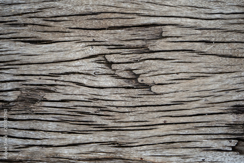 Old wood background texture.