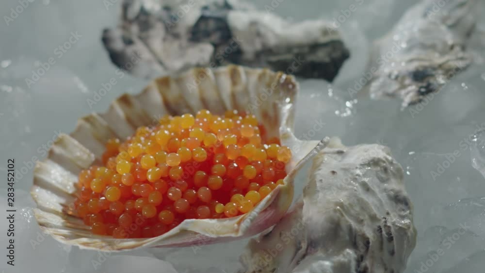 Red Salmon Caviar in scallop shell Oyster. Fish eggs luxury Snack ...