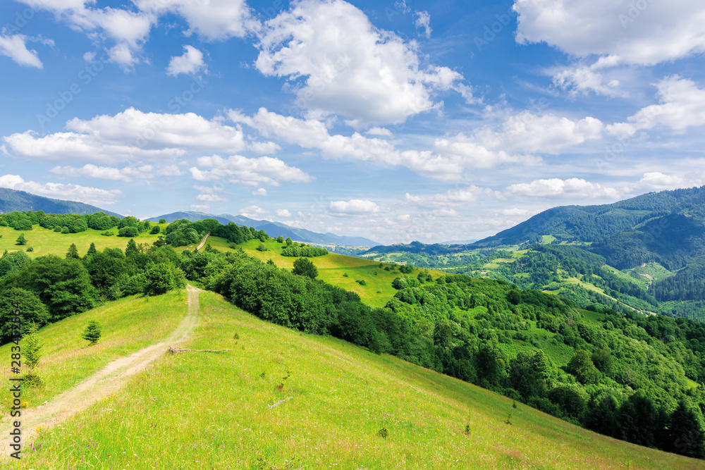 beautiful mountain landscape in summertime. footpath through forests and grassy meadow on rolling hills. ridge in the distance. amazing sunny weather with fluffy clouds on the blue sky