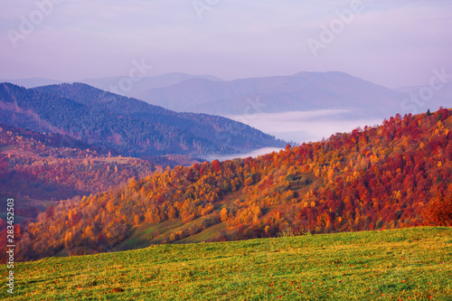 misty autumn mountain landscape at dawn. forest on hills in fall foliage. distant valley full of fog. amazing carpathian landscape.
