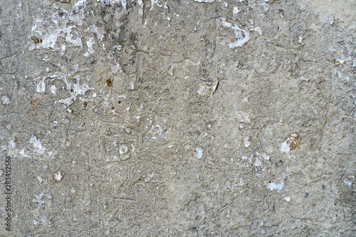 Background image. Texture of old vintage concrete wall