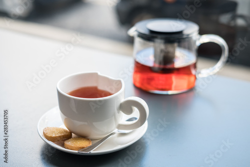 Cat shaped cup of tea with biscuits