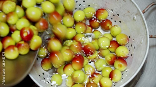 A Japanese female chef rinsing Japanese Ume at home kitchen, Tokyo, Japan. May 2019. Camera fixed, Extreme close-up, bird's eye view photo