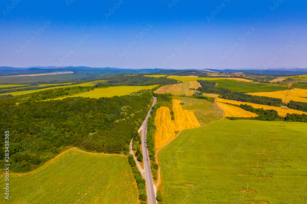 Flying above stunning yellow sunflowers field. Agricultural landscape from a bird sight