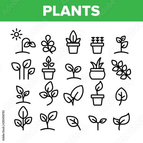 Collection Different Plants Sign Icons Set Vector Thin Line. House Plants  Gardening And Leaves Assortment Linear Pictograms. Nature Decoration And Tree Bunch Monochrome Contour Illustrations