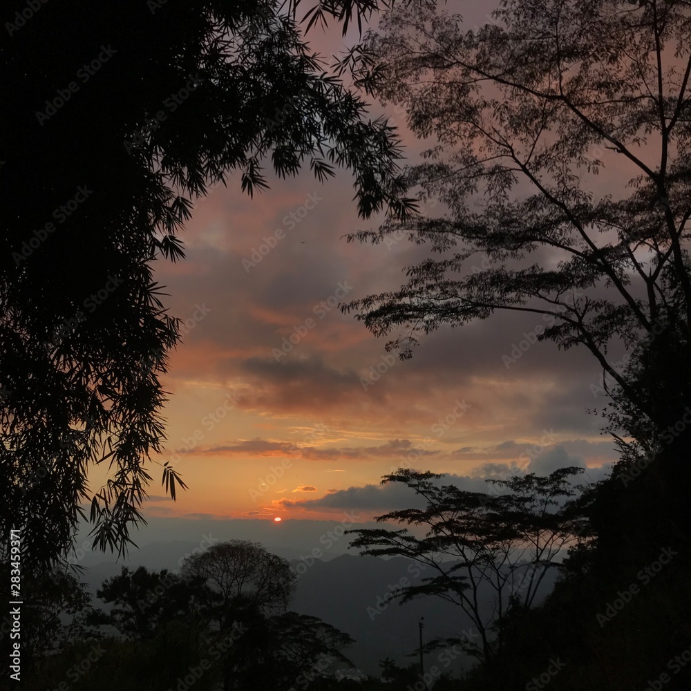 Obraz premium drzewo o zachodzie słońca