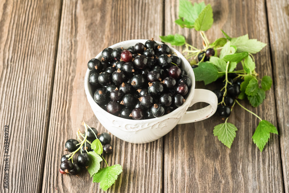 Fresh black currant in a white cup on a dark wooden background. Horizontal frame Fresh black currant in a white cup on a dark wooden background. Horizontal frame