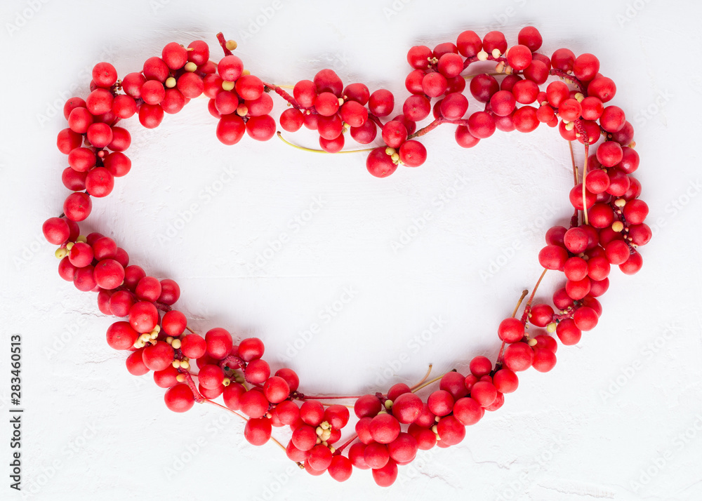 Schisandra chinensis or five-flavor berry. Fresh red ripe berries on white background. Top view. Copy space. Food background. Schisandra chinensis or five-flavor berry. Fresh red ripe berries on white background. Top view. Copy space. Food background.