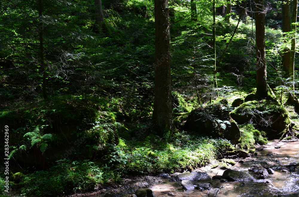 Obraz premium Steinbachtal bei Rudersberg