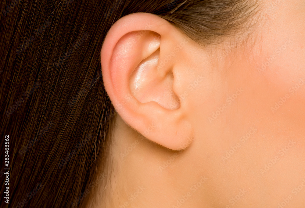 Fototapeta premium Closeup of ear of young woman