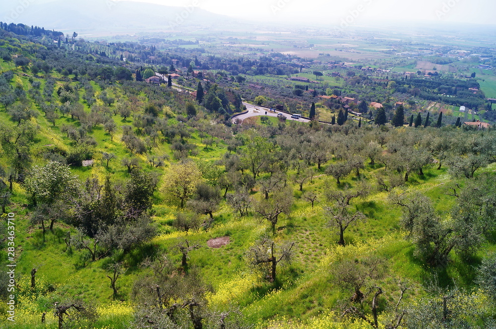 Panorama of the Tuscan countryside around Cortona