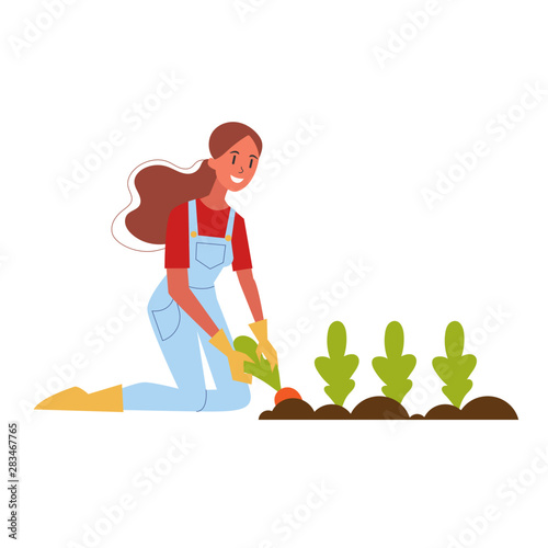 Woman farmer harvesting carrot