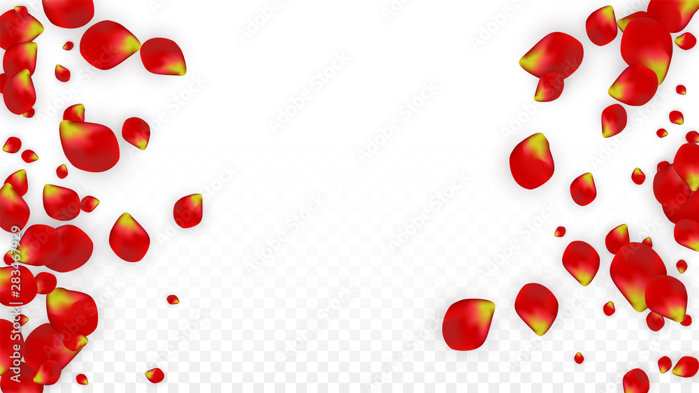 Vector Realistic Red Rose Petals Falling on Transparent Background. Romantic Flowers Illustration. Flying Petals. Sakura Spa Design. Blossom Confetti. Design Elements for Wedding Decoration. Vector Realistic Red Rose Petals Falling on Transparent Background. Romantic Flowers Illustration. Flying Petals. Sakura Spa Design. Blossom Confetti. Design Elements for Wedding Decoration.