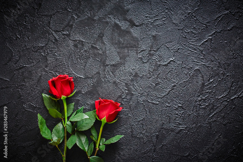 Two red roses on a dark, black stone background. Place for text