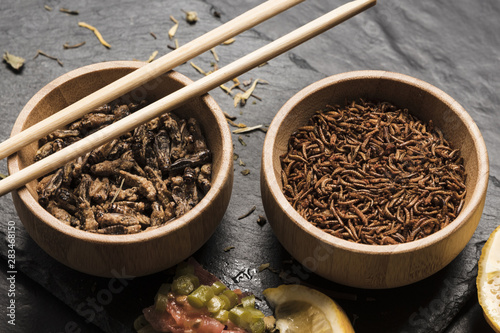 Close view edible insects with sticks photo