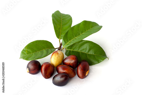 Sterculia monosperma or chestnuts with leaf of Thailand isolated on white background. 