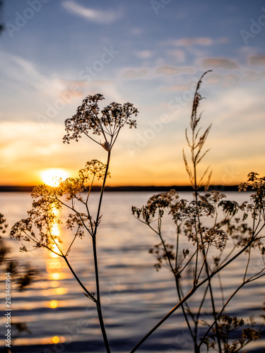 Summer sunset and Volga river