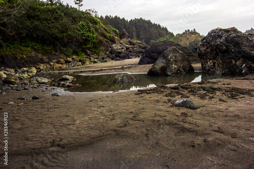 Trinidad along the coast.