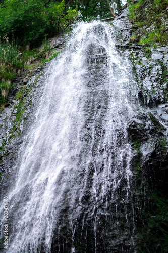 high waterfall in dark forest dark green plants around, logs below of waterfall