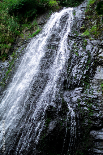 high waterfall in dark forest dark green plants around, logs below of waterfall