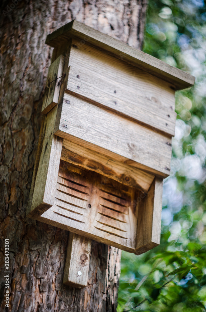 birdhouse birdhouse