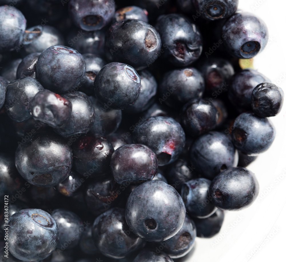 Blueberries in a glass on a white background Blueberries in a glass on a white background