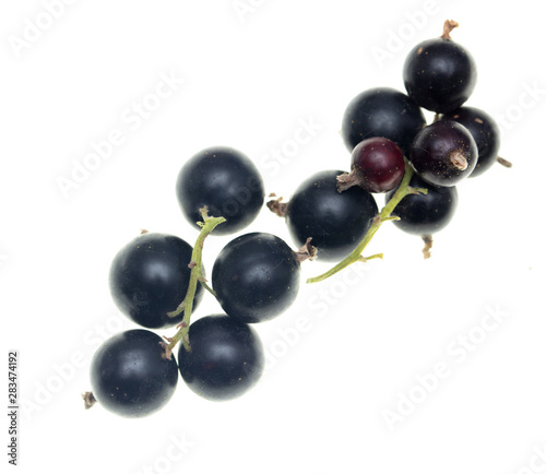 Ripe blackcurrant berries on a white background