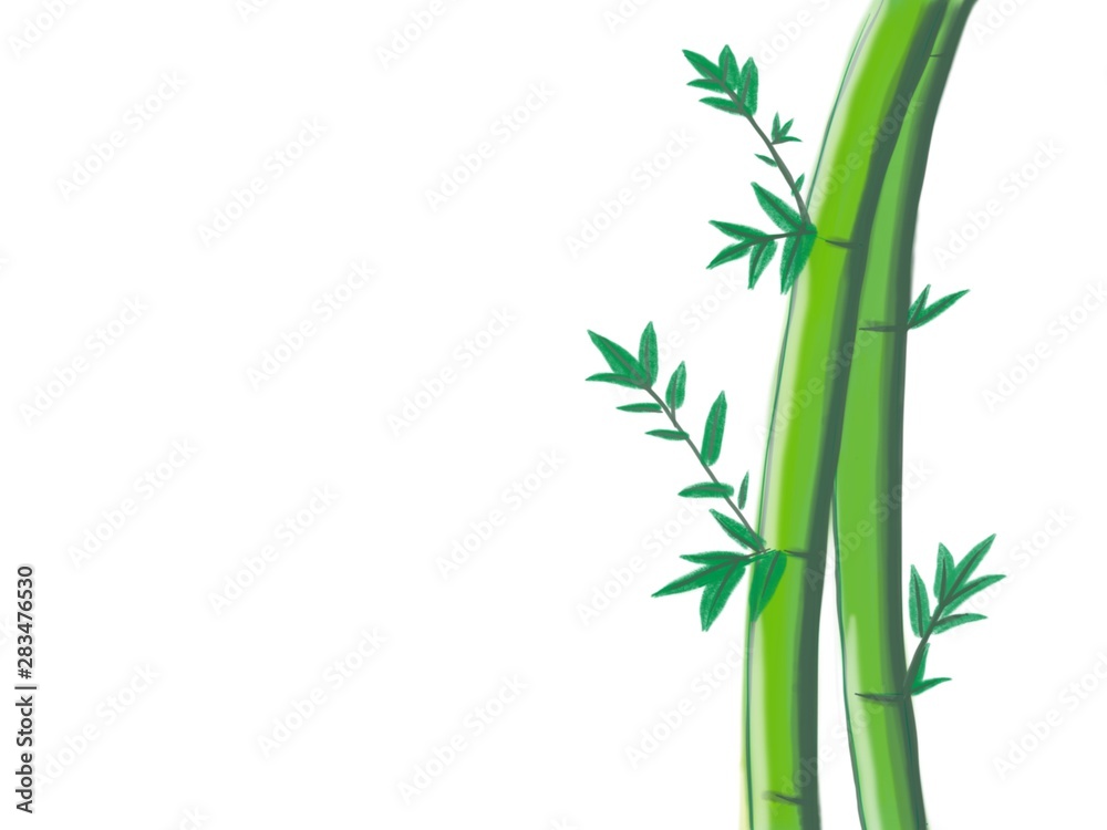 Bamboo isolate on white background Bamboo isolate on white background