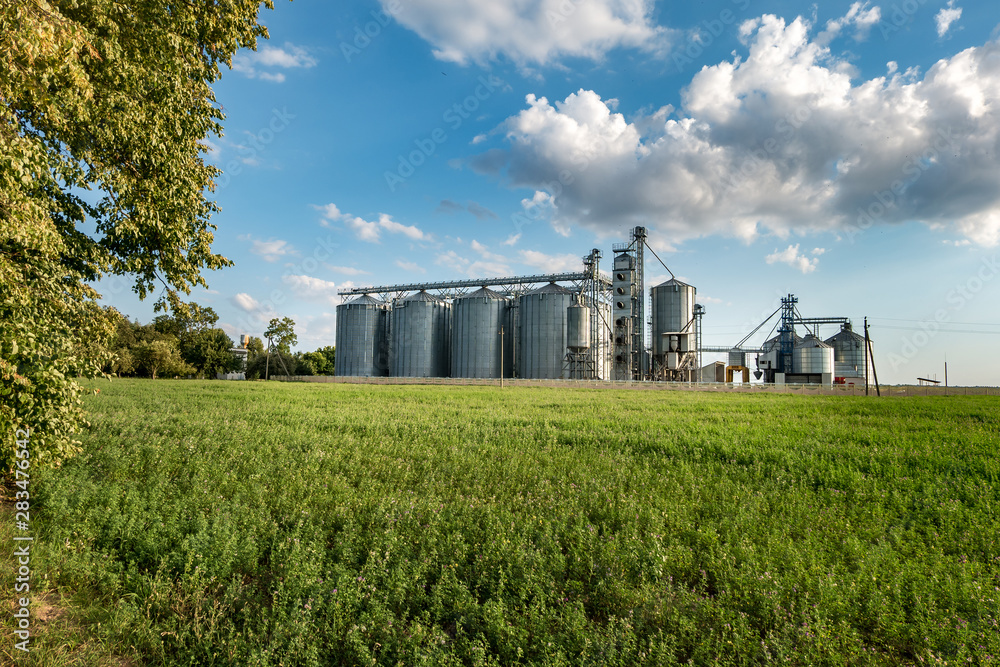 silver silos on agro manufacturing plant for processing drying cleaning and storage of agricultural products, flour, cereals and grain with beautiful clouds