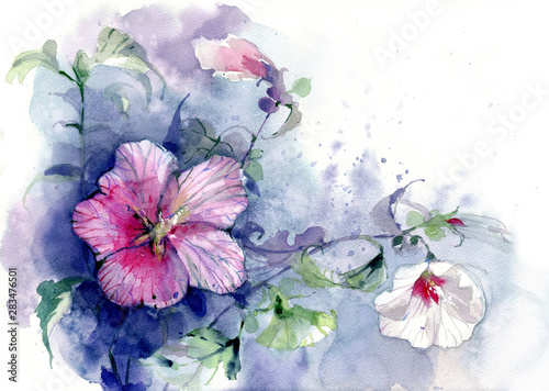 Flowers, botanical illustration, watercolor
