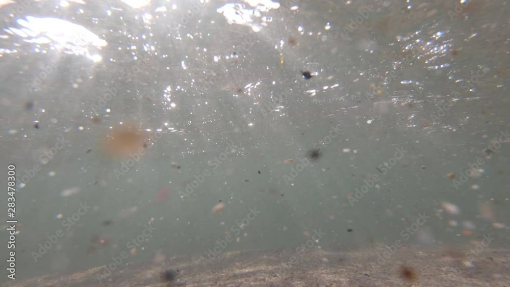 Slow motion underwater view of fine sand particles seabed floor sun rays visible fish swim in ocean Slow motion underwater view of fine sand particles seabed floor sun rays visible fish swim in ocean