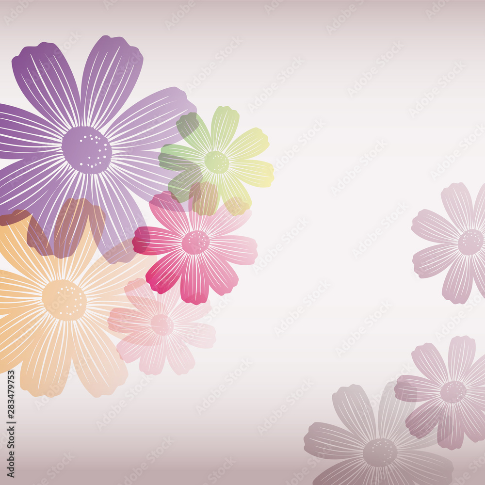 illustration background of cosmoses illustration background of cosmoses