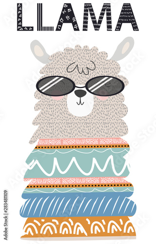 Lama is cute in the Scandinavian style, fashionable, cool, in dark sunglasses.