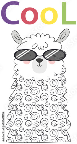 Lama is cute in the Scandinavian style, fashionable, cool, in dark sunglasses.