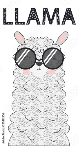 Lama is cute in the Scandinavian style, fashionable, cool, in dark sunglasses.