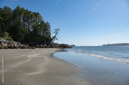 beach and sea at Tofino, Vancouver Island