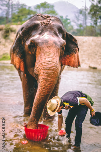 elephant nature park thailand