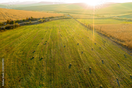 Fototapeta Naklejka Na Ścianę i Meble -  Aerial drone photo of hay rolls in the wheat